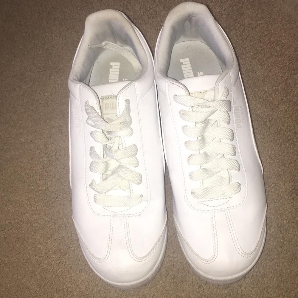 White pumas